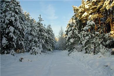 DNF系列第三款新游开发中 将是开放世界动作RPG