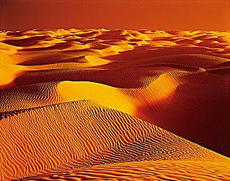 卡普空更新白金游戏销量榜 《怪物猎人：世界》超1900万